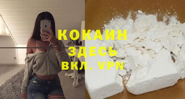 spice Алзамай
