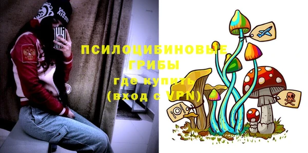 эйфоретик Алексеевка