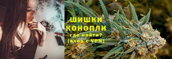 spice Алзамай