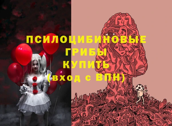 a pvp Алексин