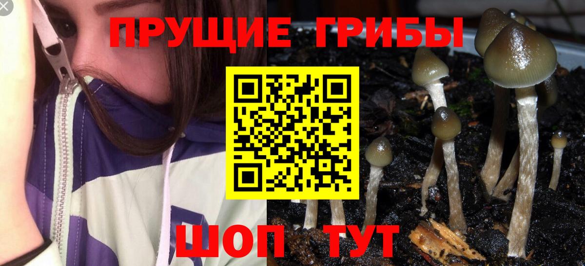 Чусовой  Псилоцибиновые грибы Cubensis  купить наркотик  Вход с VPN 